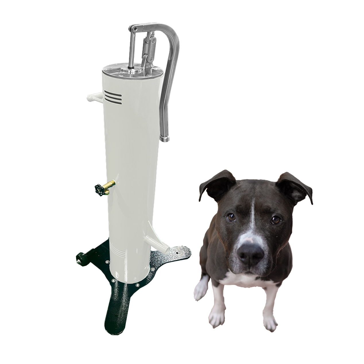 Cool Dog Water Fountain with Hose - Easy Flow Lever - Free Standing Mobile