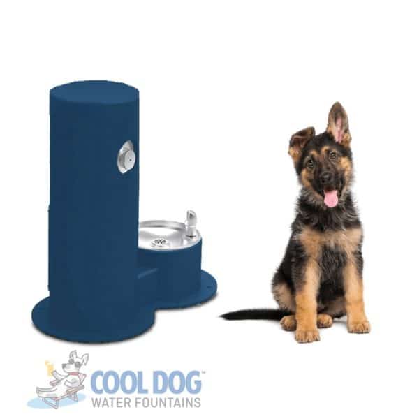 Cool Dog Water Fountain - Single Basin