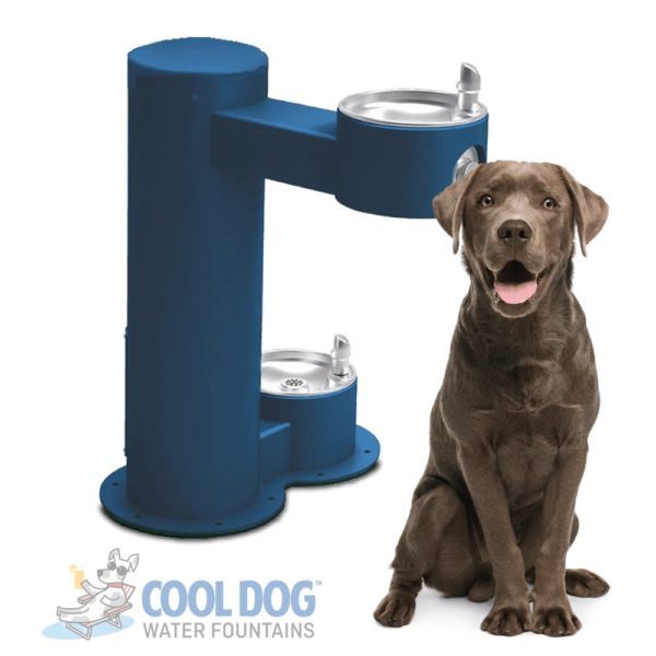Cool Dog Water Fountains Dual