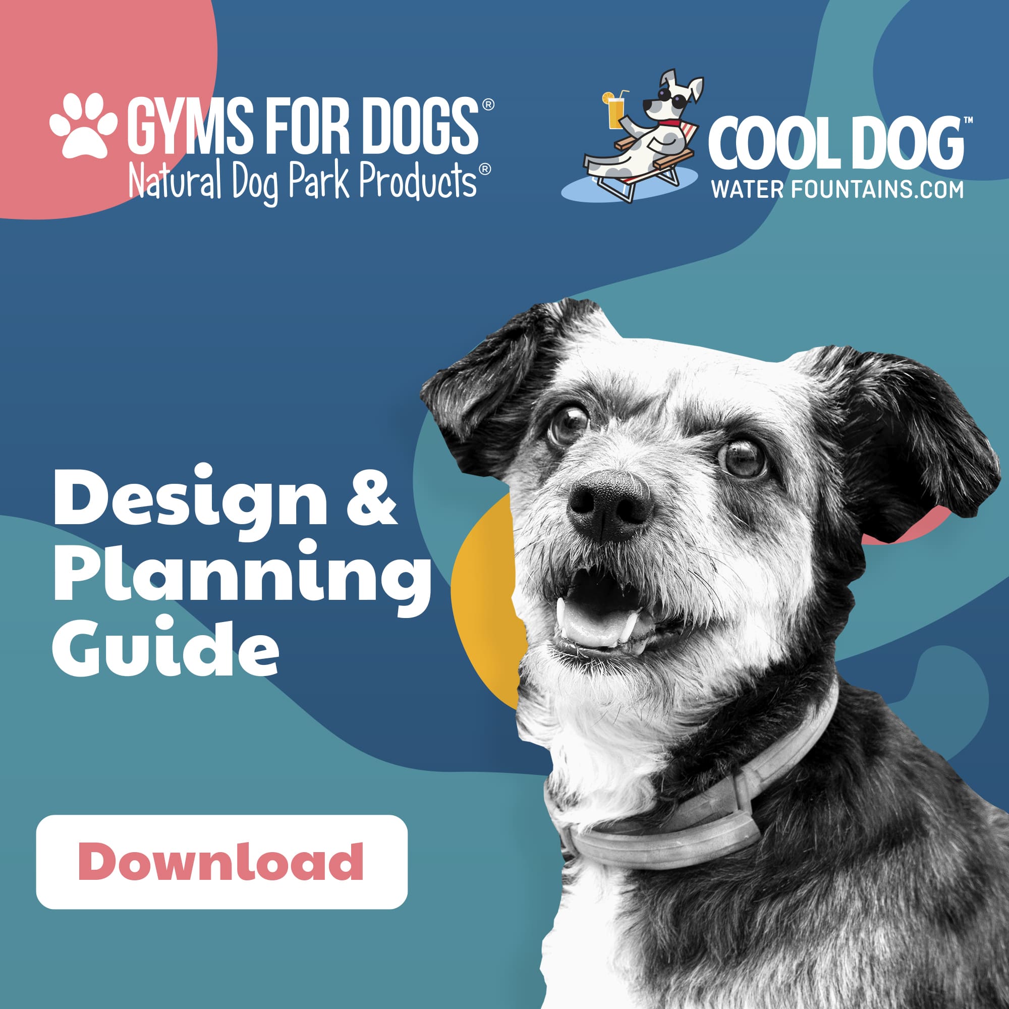 dog-water-fountains-dog-park-design-planning-guide