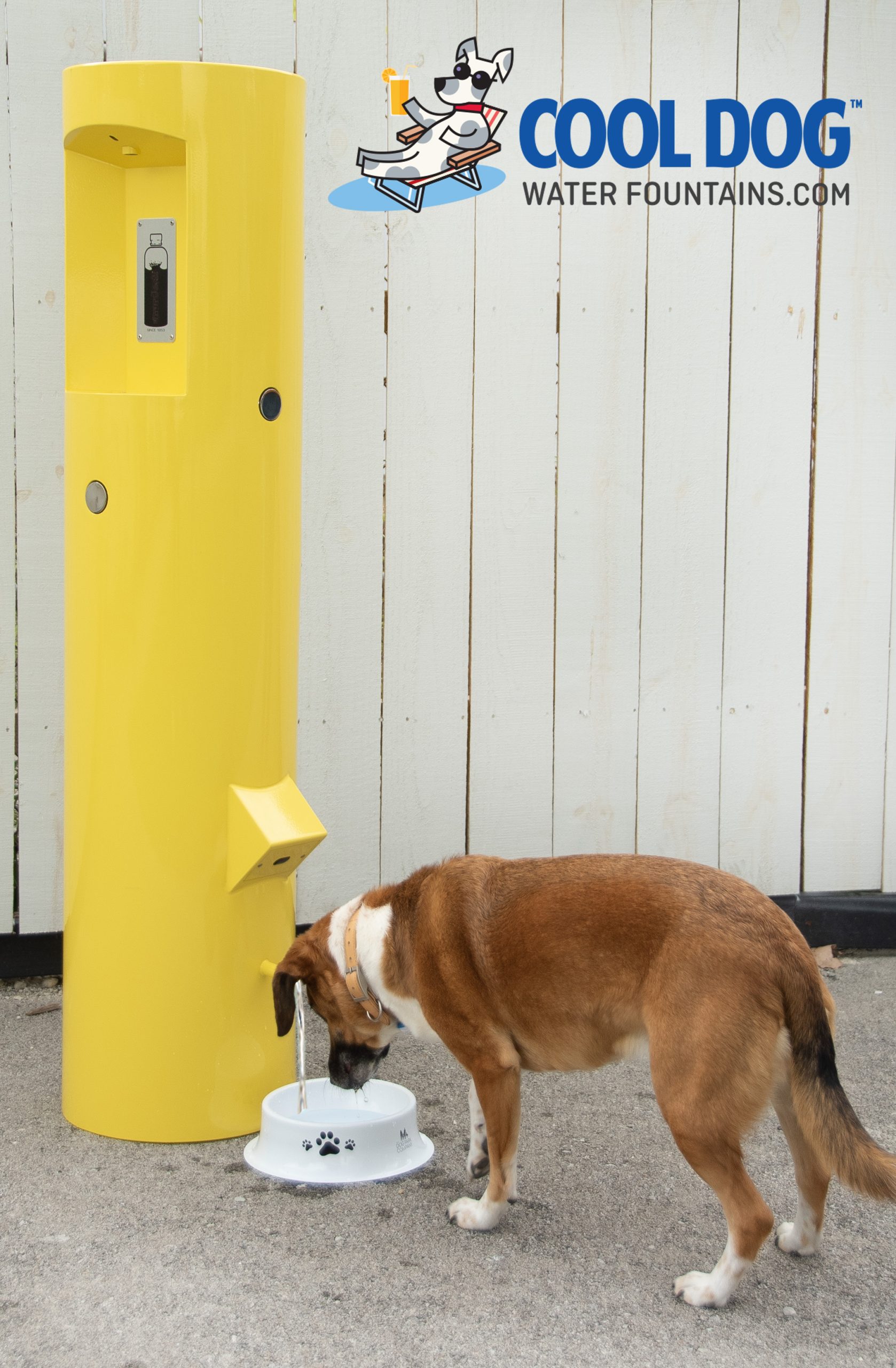 DoggieDemand DL 2000 DD Rizzo WM scaled 1.jpg