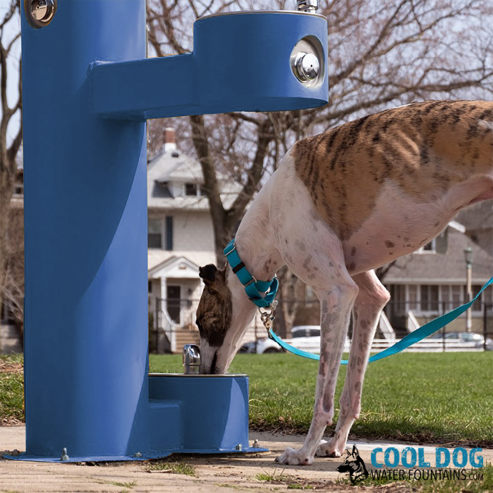 DL 2000 STE BLU lifestyle.jpg