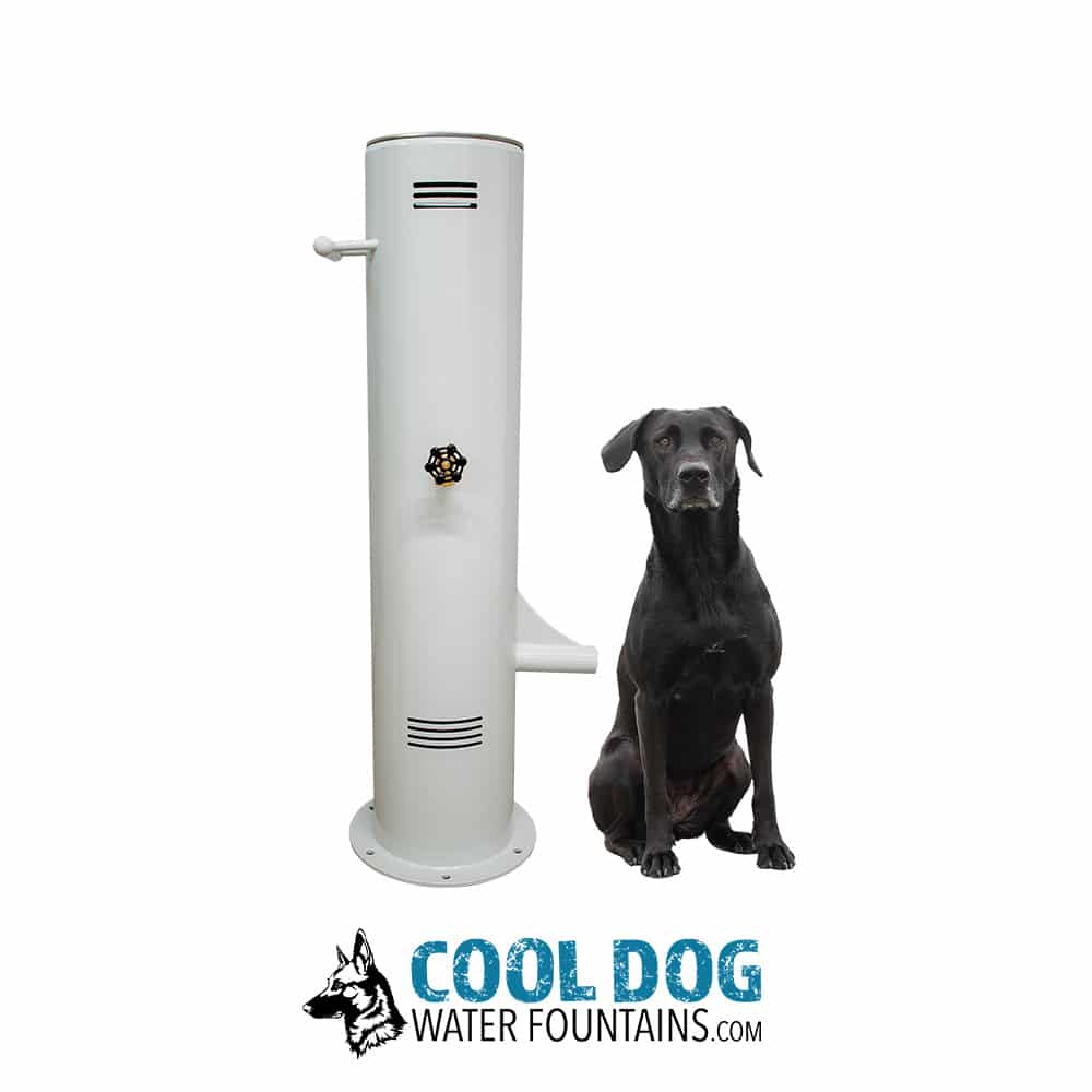 PushButton DWC BoneWhitejpg - Cool Dog Water Fountains PushButton DWC BoneWhitejpg