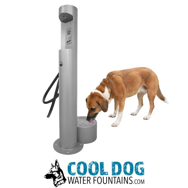 DL 1000 BF DWC SST Rizzo wm