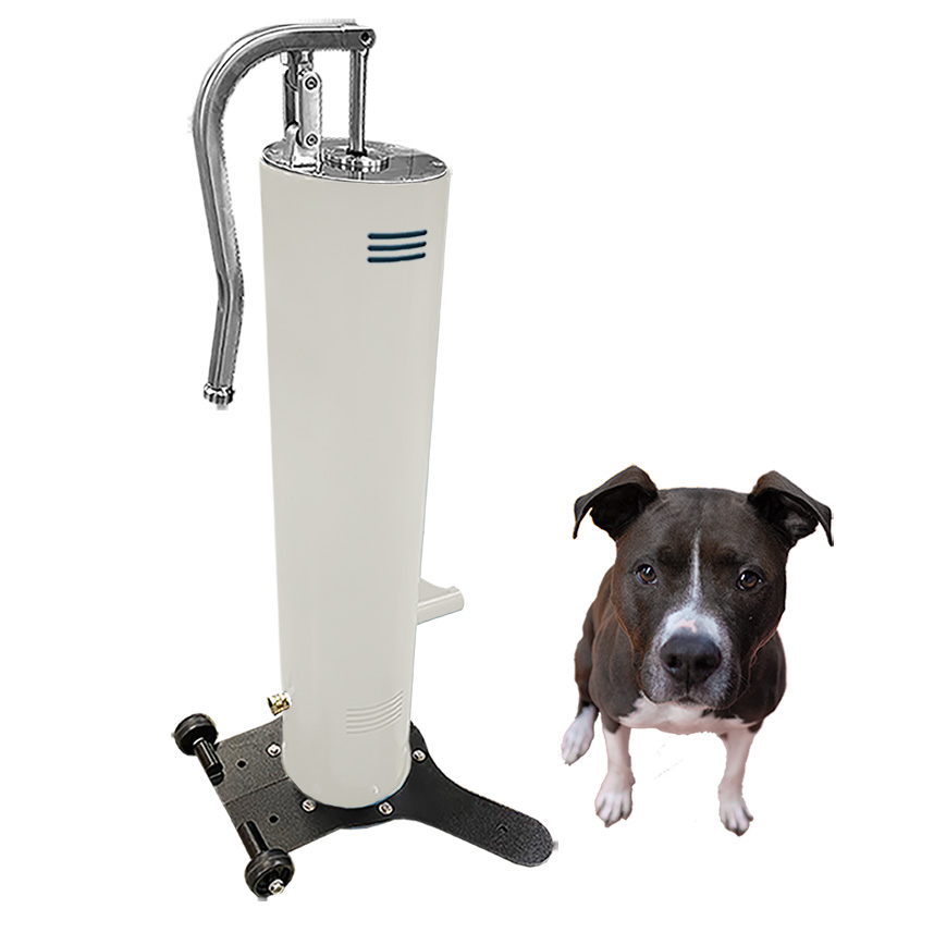 DL 1000 DD FS SLV BoneWhite