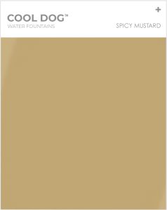 cool dog water fountains spicy mustard