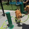 zPW7220 Dual Dog Wash Station zPW7220 Dual Dog Wash Station